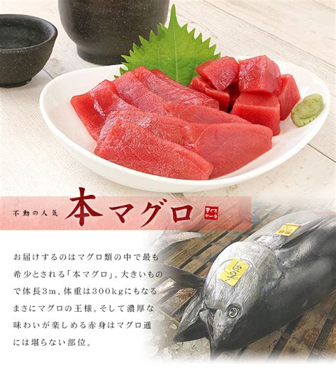 【楽天市場】本マグロ 訳あり赤身たっぷり700g 形が不揃い、血合あり 送料無料（わけあり ワケアリ まぐろ 鮪 刺身 メガ盛り 刺身 寿し