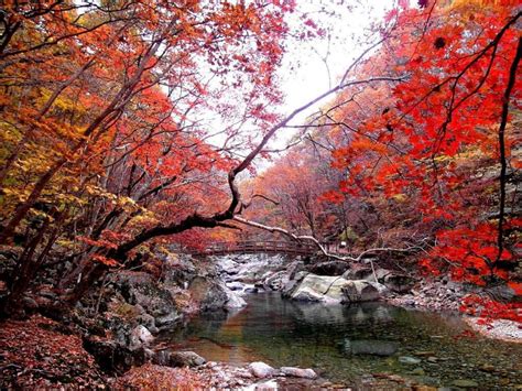 Here Are The Best Nature Parks in South Korea for Refreshing Walks!