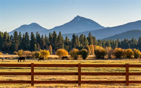 Why Wyoming | Things To Do in Wyoming