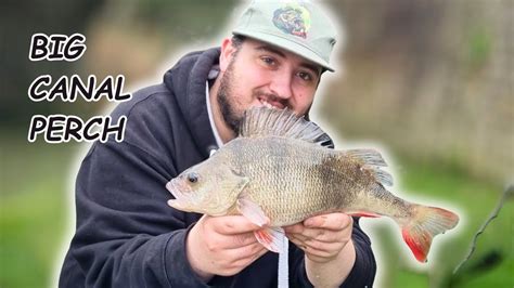 CANAL FISHING FOR BIG PERCH YouTube