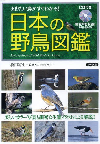 日本の野鳥図鑑 知りたい鳥がすぐわかる 美しいカラー写真と細密な生態イラストによる解説 本 通販 Amazon