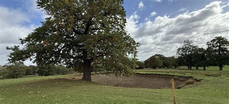 Woburn Deer Park Circular, Bedfordshire, England - 1,136 Reviews, Map