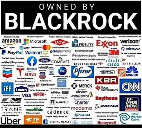 Did You Know That BlackRock Owns Every Company In America Yes This Is