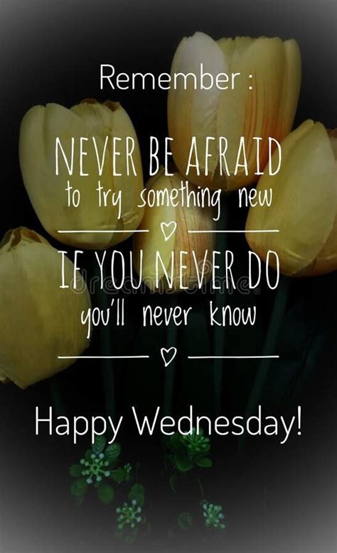 Pin By Christina Prescott On Happy Wednesday Happy Wednesday Quotes