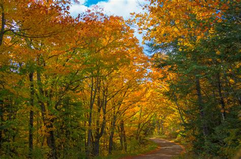 Fall Colors in Superior National Forest 2 - Kevin Linden Photography