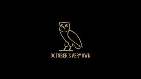 Ovo Owl Wallpapers - Top Free Ovo Owl Backgrounds - WallpaperAccess