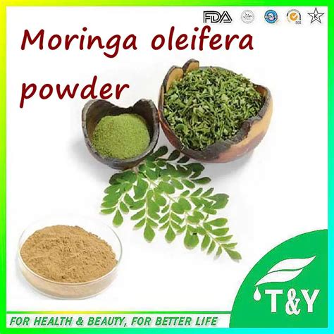 Online Buy Wholesale Moringa Oleifera From China Moringa Oleifera