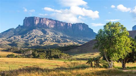 Núi Roraima ảnh 1