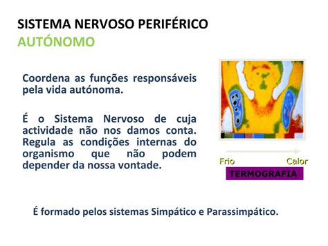 Sistema Neuro Hormonaliib Ppt