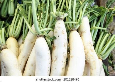 16 Cv Group Chinese Radish Images Stock Photos Vectors Shutterstock