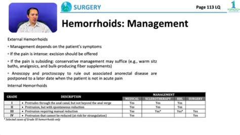 Small Intestine Appendix Flashcards Quizlet