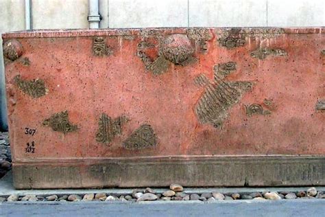 Эхнатон – биография, фото, личная жизнь, реформы - 24СМИ