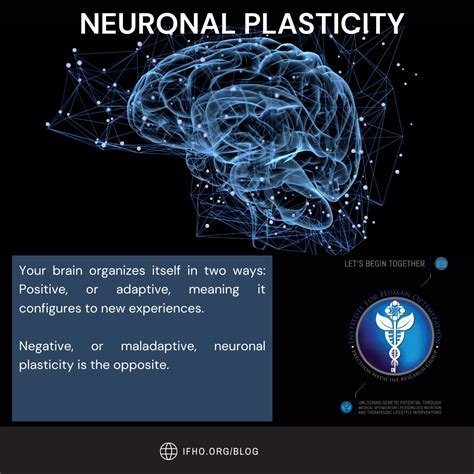 Neuronal Plasticity: How Your Thoughts Literally Shape Your Brain - The ...