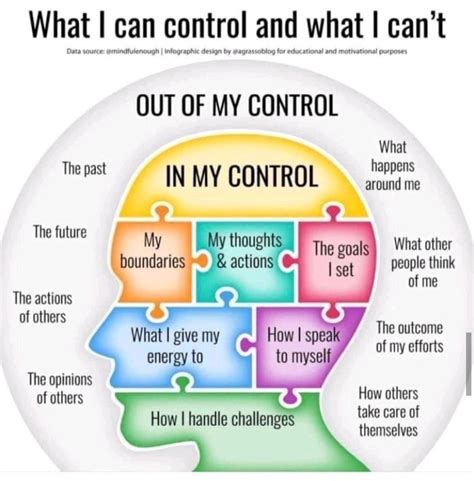 What You Can And Cant Control Puzzle Chart Swipe File