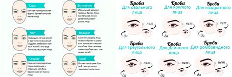 Как правильно выщипать брови: особенности и правила коррекции - Braun-Shop