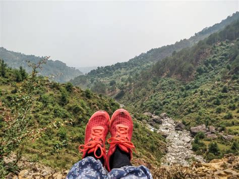 Hiking in Dharamshala – Under the Rhododendrons and Into the Icy ...