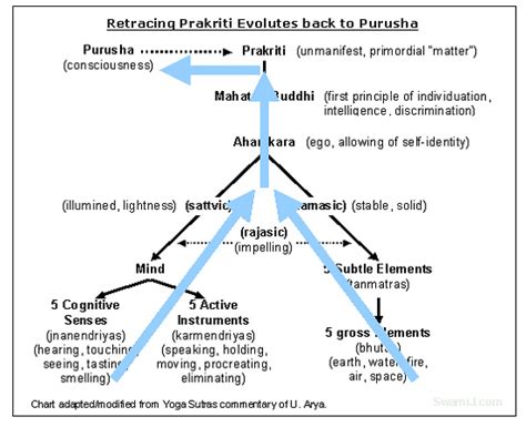 Sankhya Philosophy: History And Educational Importance - Jothishi