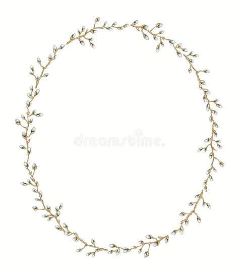 Branches Of Pussy Willow Stock Illustration Illustration Of Tree