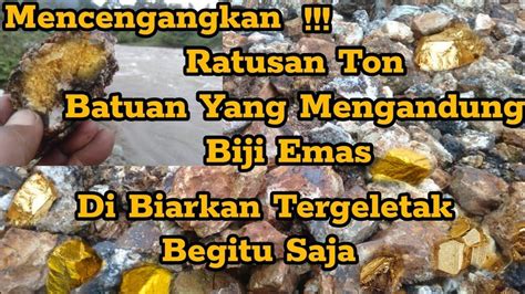 Mencengangkan Ratusan Ton Batuan Yang Mengandung Biji Emas Youtube