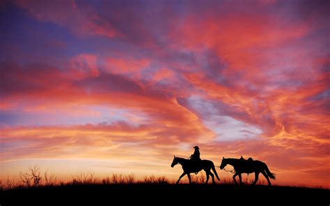 Cowboy Horses 4K Wallpapers | HD Wallpapers | ID #23547