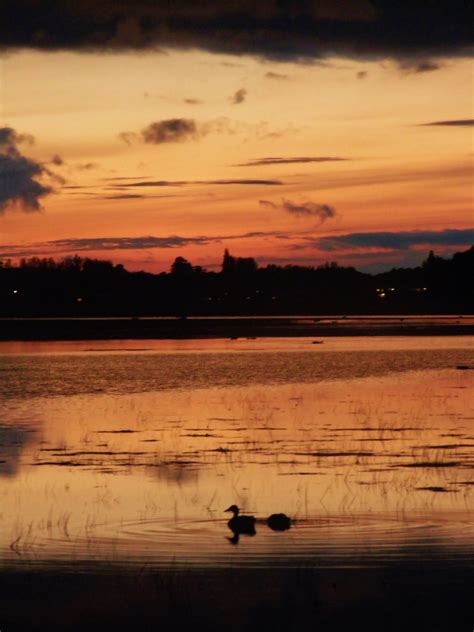 Port Meadow Tumblr Gallery