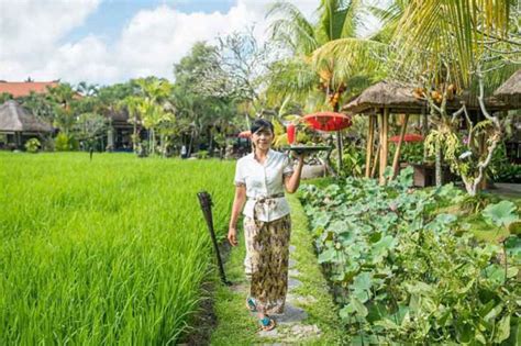 Bebek Tepi Sawah Restoran Cozy Dengan Menu Crispy Duck Di Ubud