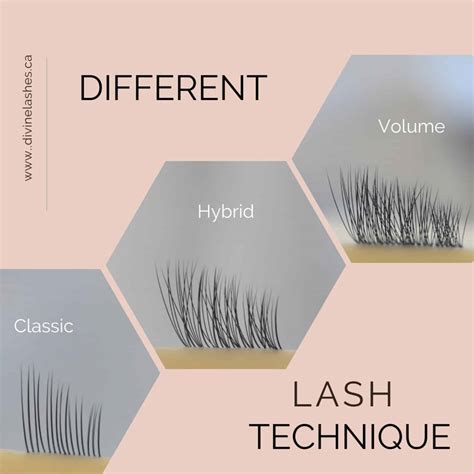 What Are Lash Extensions The Ultimate Beginner S Guide