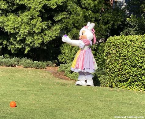 Photos Mr And Mrs Easter Bunny Stopped By Disney World For An Egg Hunt