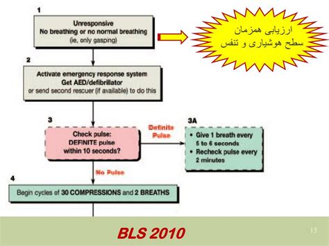 Ppt Basic Life Support Bls Automated External Defibrillation Aed