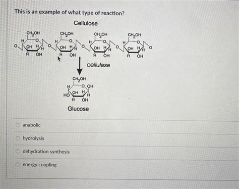 Solved The molecule below is an example of a macromolecule. | Chegg.com