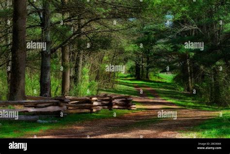 A Beautiful Shaded Setting At David Crockett Birthplace State Park In