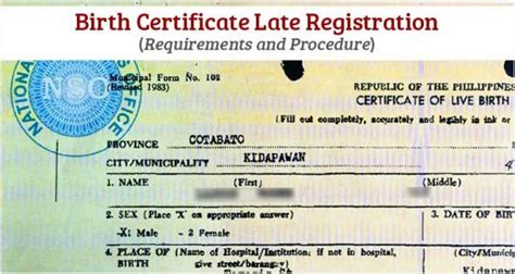 Birth Certificate Cheat Sheet