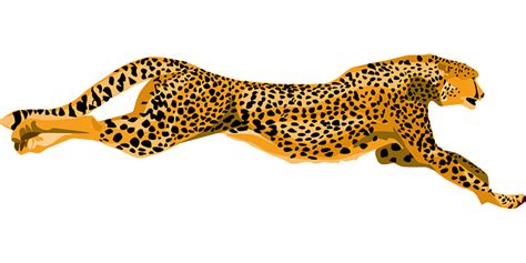 Free Leopard Cartoon, Download Free Leopard Cartoon png images, Free ClipArts on Clipart Library