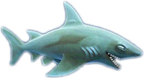 Reef Shark (HSE) | Hungry Shark Wiki | FANDOM powered by Wikia