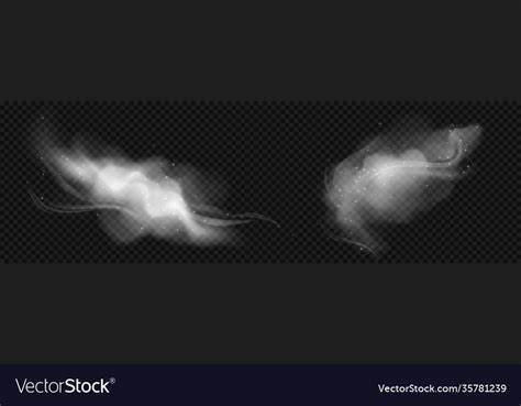 Cold wind effects with white smoke and snowflakes Vector Image