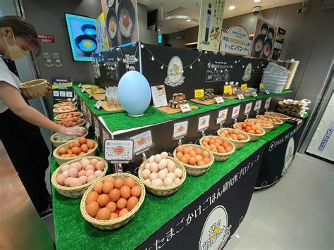 Jr大阪駅に「幻の卵屋さん」が関西初出店、かっぱの健卵も販売へ。 社長のブログ 大熊養鶏場