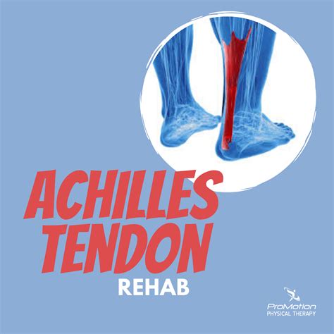 ProMotion Physical Therapy - The Achilles Tendon is the largest tendon