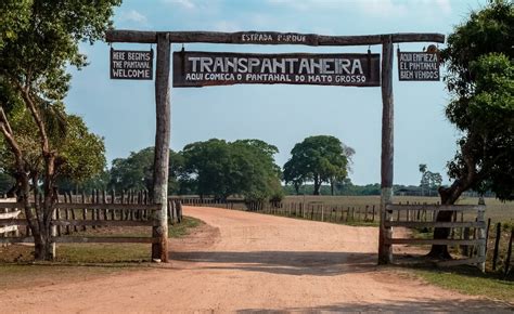 Wildlife Tour In Brazil S Pantanal Region 12 Days Kimkim