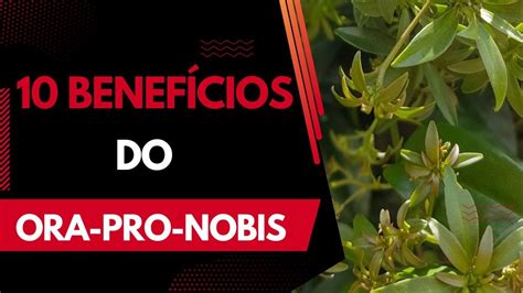 10 benefícios do ora pro nobis YouTube