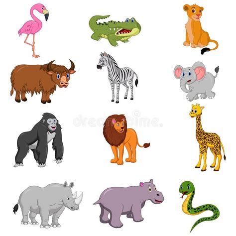 Cute African Animals Cartoons