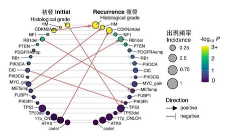 Self Constructed Machine Learning Model Reveals Early Predictors Of