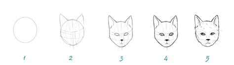 Image De Chat Tutoriel Pour Dessiner Un Chat