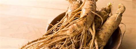 Benefits Of Ginseng And Its Side Effects Lybrate