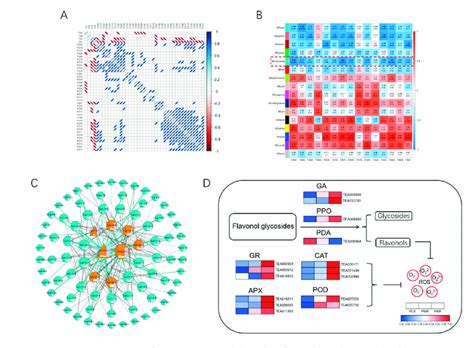 Co Expression Modules Identification Based On Weighted Gene