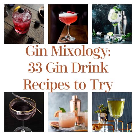 Gin Mixology 33 Gin Drink Recipes To Try