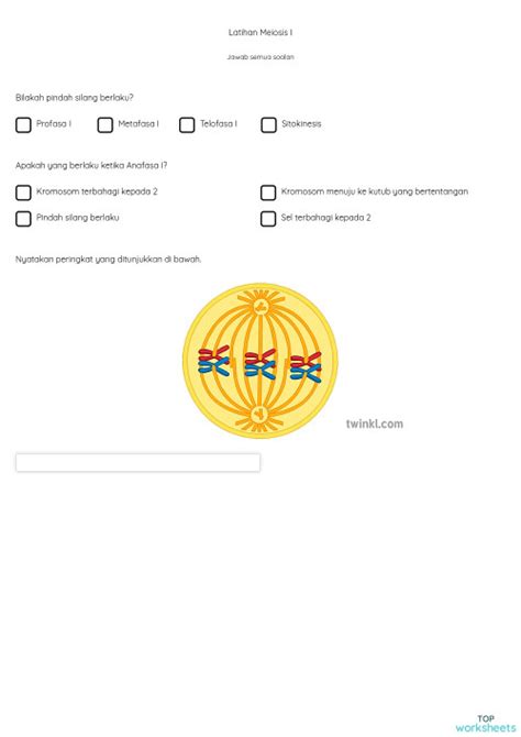 Latihan Meiosis I Interactive Worksheet Topworksheets