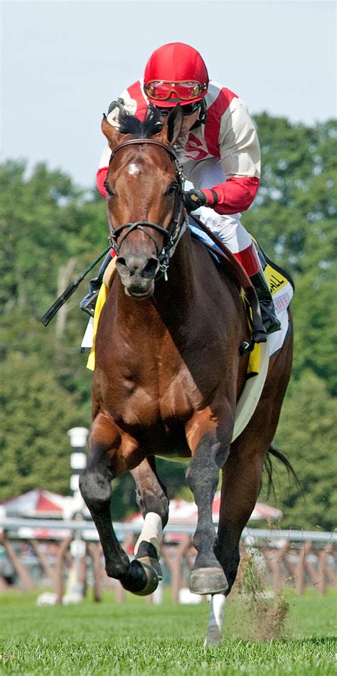 Fair Grounds notes: Central Banker might be best at seven furlongs