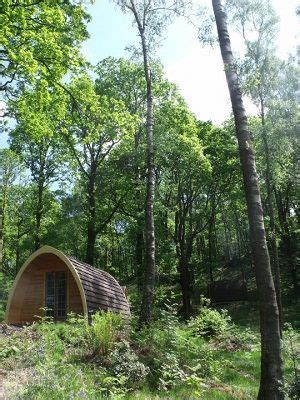 Grizedale Camping Site | - Home | Lake district camping, Campsite ...