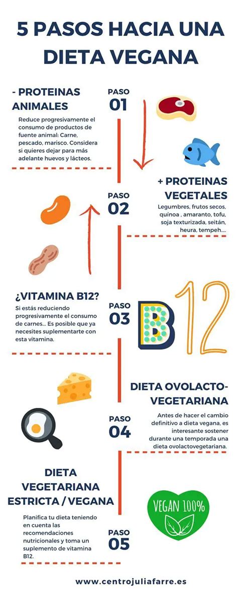 Consejos Para Una Alimentación Vegana Saludable Ecozap