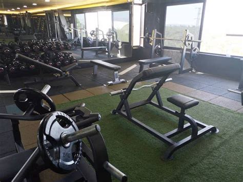 Ivy Gym Discover The Best Deals Across Your City